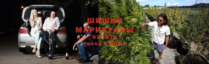 Марихуана OG Kush  Богучар 